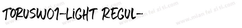 TorusW01-Light Regul字体转换